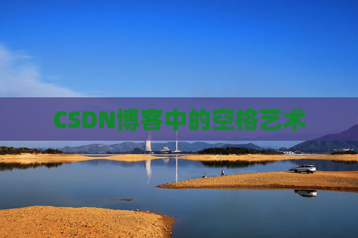CSDN博客中的空格艺术